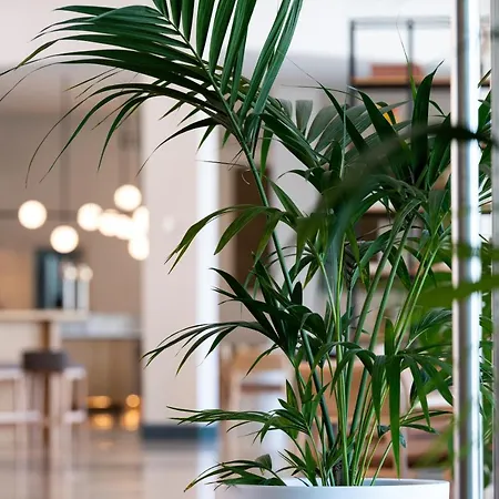 Ξενοδοχείο Hills